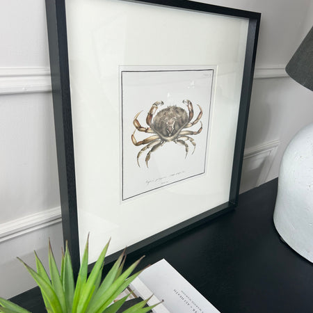 Set of 3 Crustacean mounted Black Framed Prints