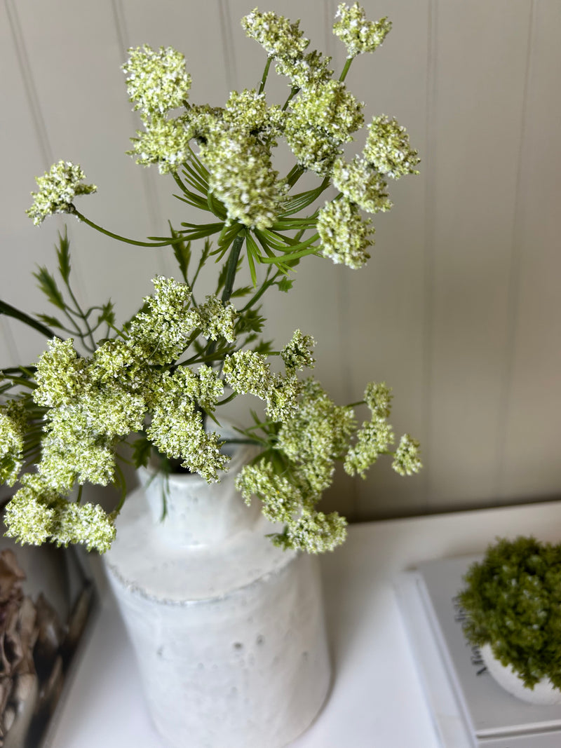 Green cow parsley stem spray