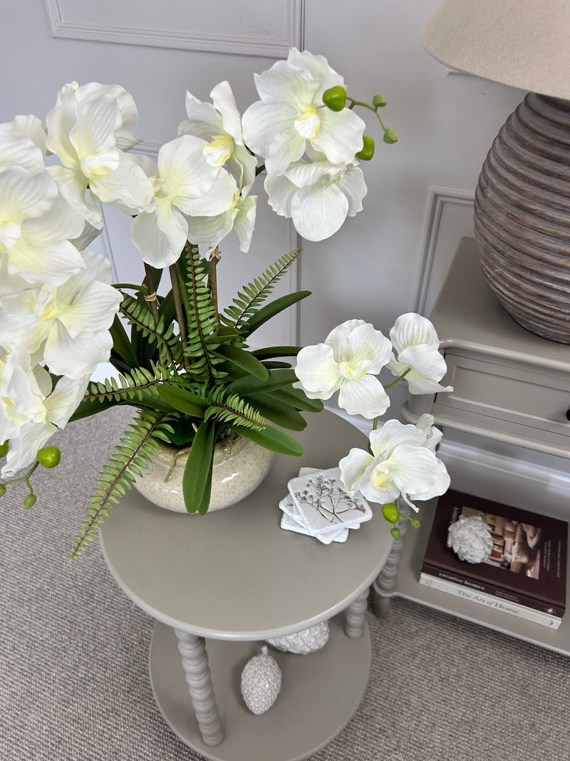 White vanda orchid in ceramic planter pot