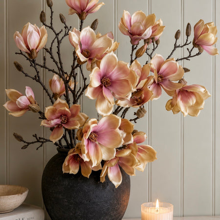 Pale blush apricot magnolia stem bunch 85cm