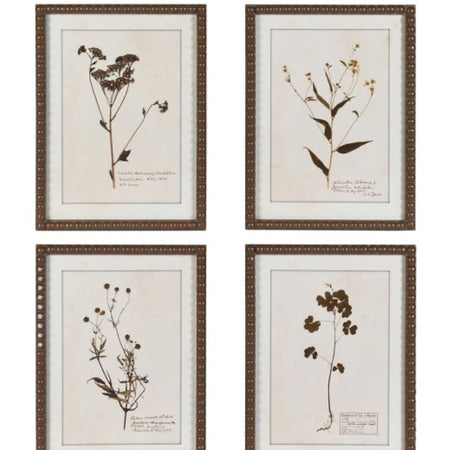 Brown bobble framed delicate floral flowers prints pictures 4 styles