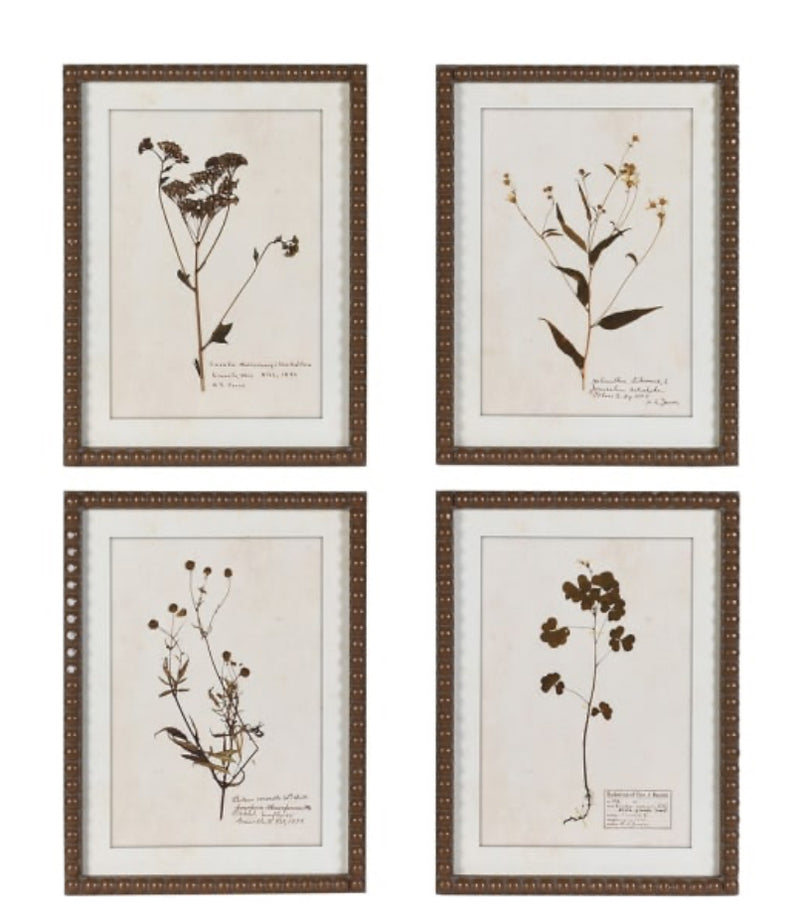 Brown bobble framed delicate floral flowers prints pictures 4 styles
