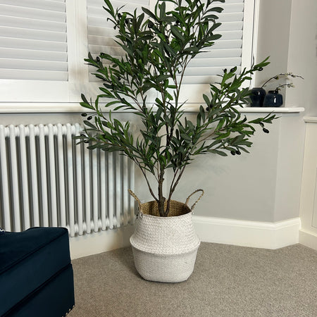 Realistic Tall Olive Tree 150cm