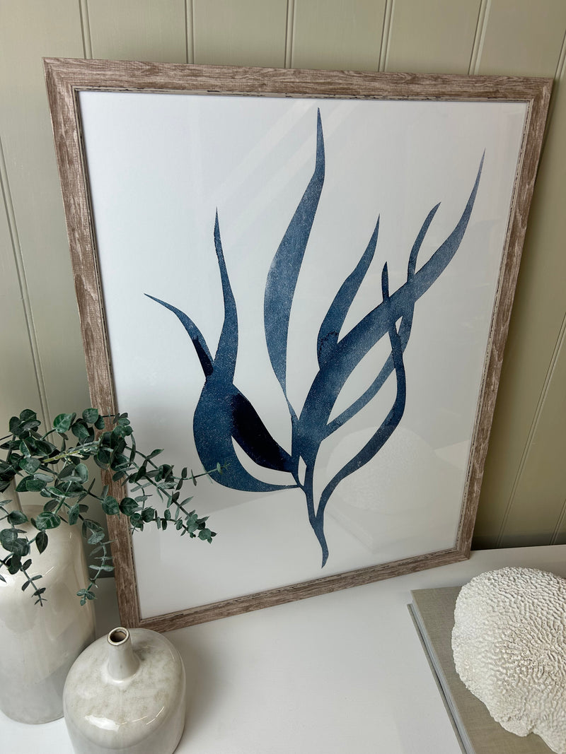 Blue wood framed coral seaweed pictures art 3 styles