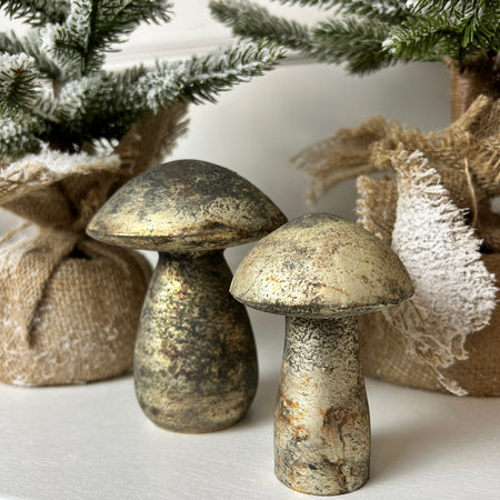 Bronze aged mushroom 2 sizes no