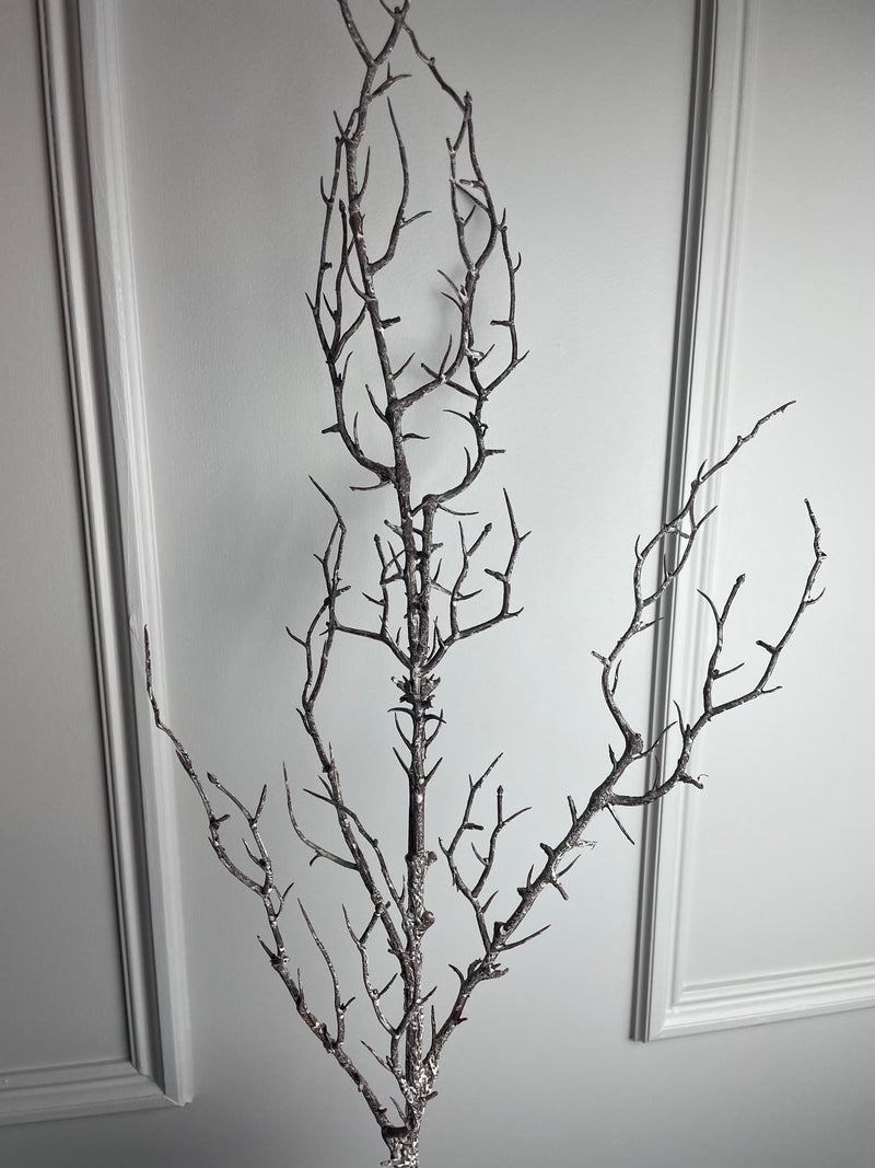 Hawthorn twig Branch