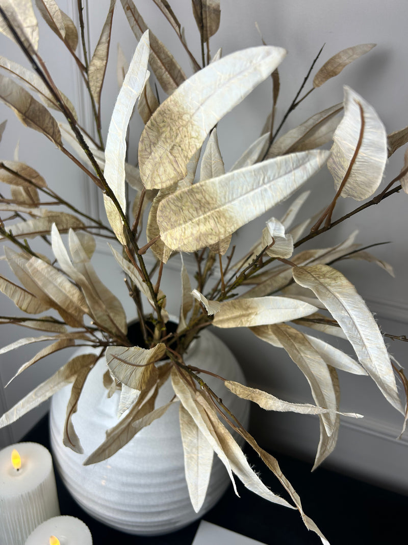Dried touch Tall oyster slim leaf stem 90cm