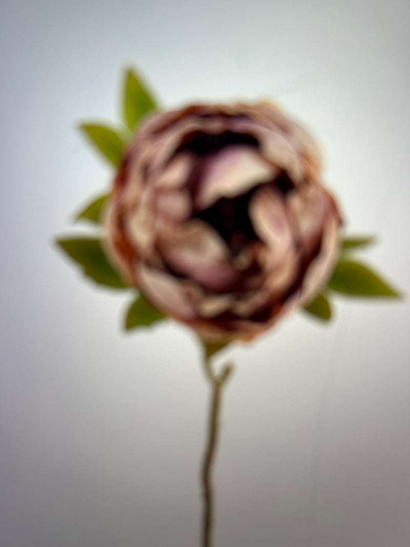 Dried real feel mauve peony 48cm