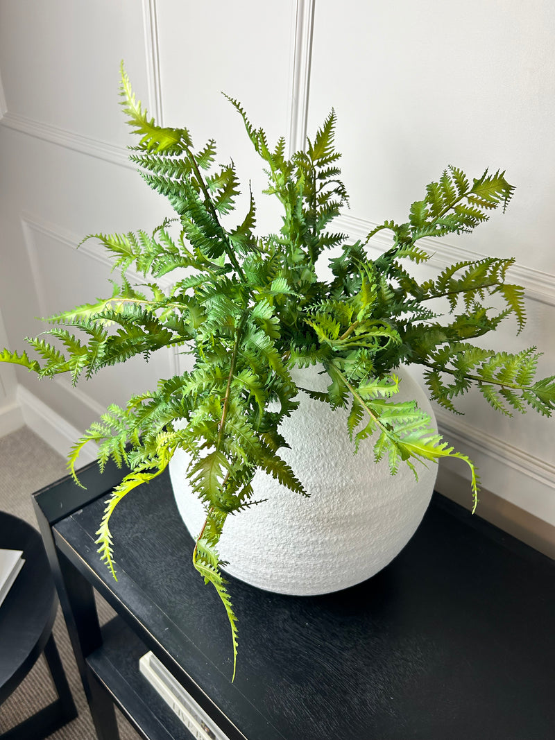 Natural Green Wild Fern Bunch Stem real feel