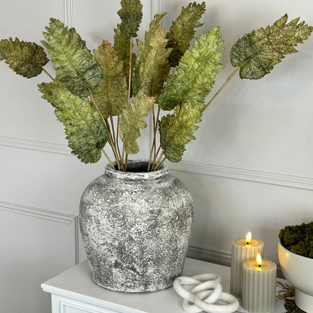 Green Dried Touch Large cabbage Leaf tied Bunch 5 stem