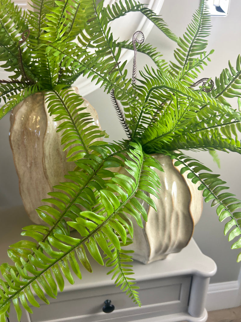 Tree fern bunch natural green pick