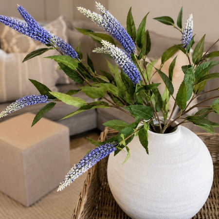 Lilac purple blue Veronica Multi Stem 70cm