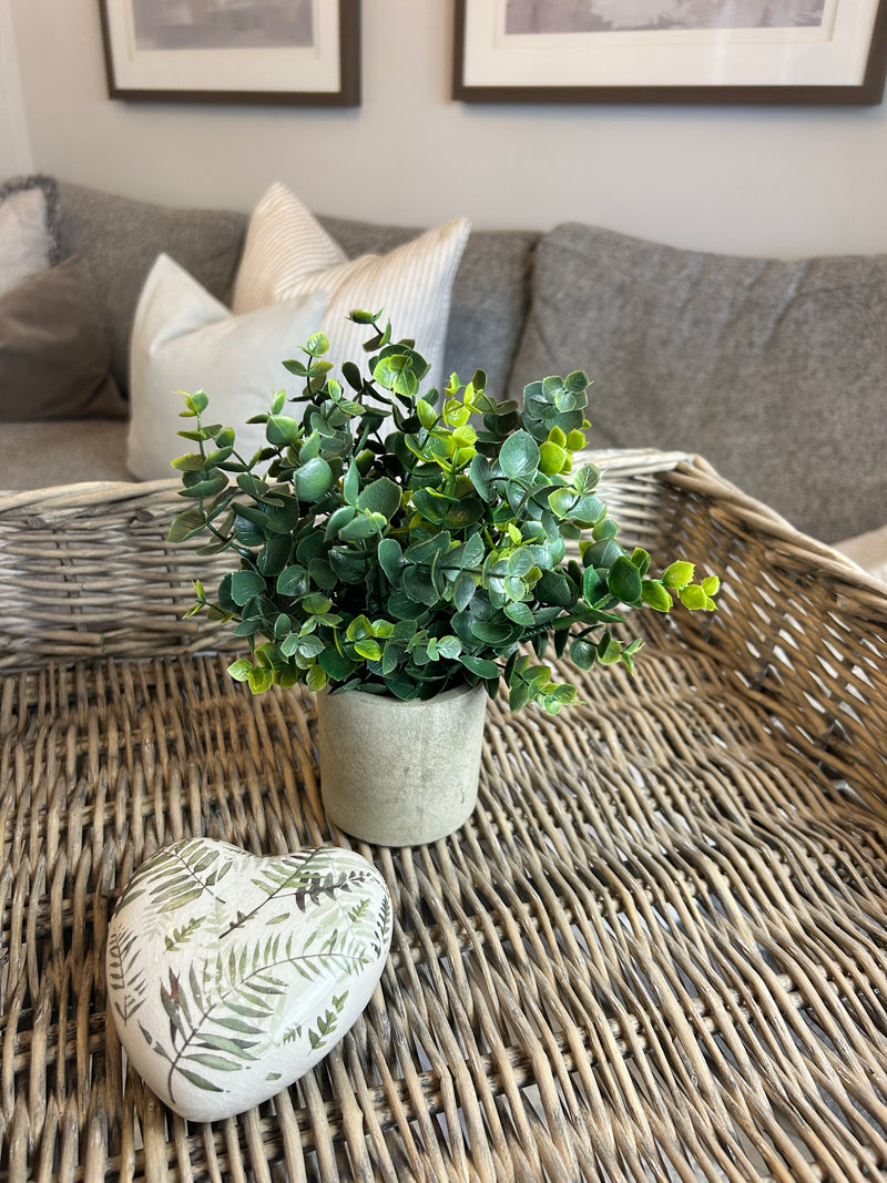 Eucalyptus Bunch in Grey stone Pot