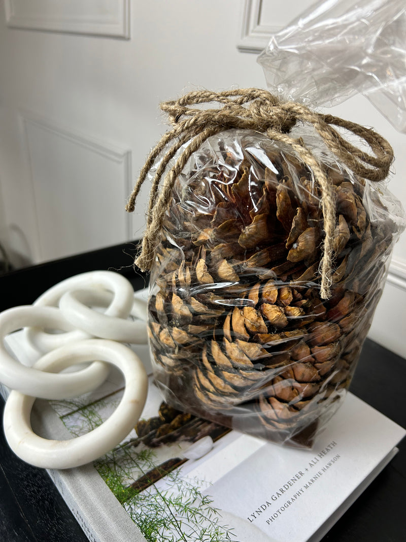 Bag of natural strobus pine cones