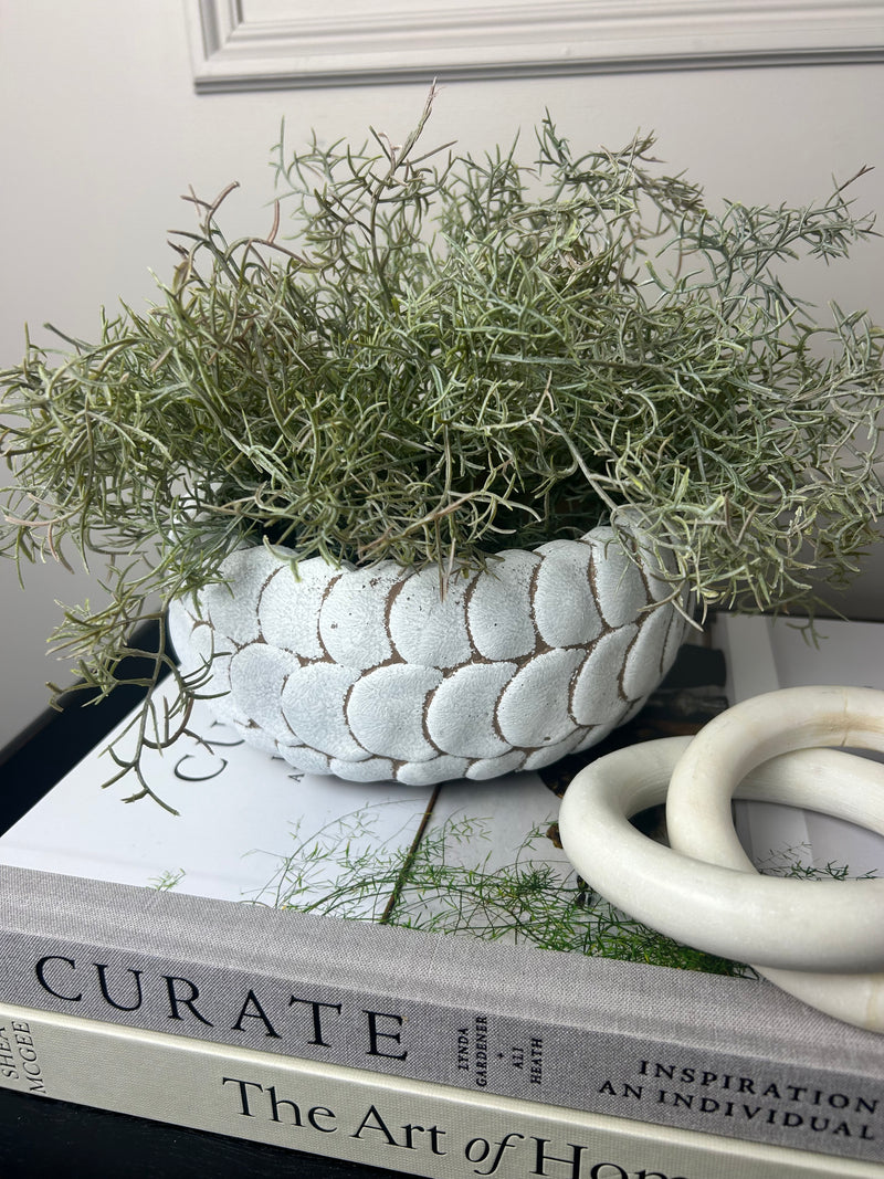 Scallop stone low planter bowl 2 sizes