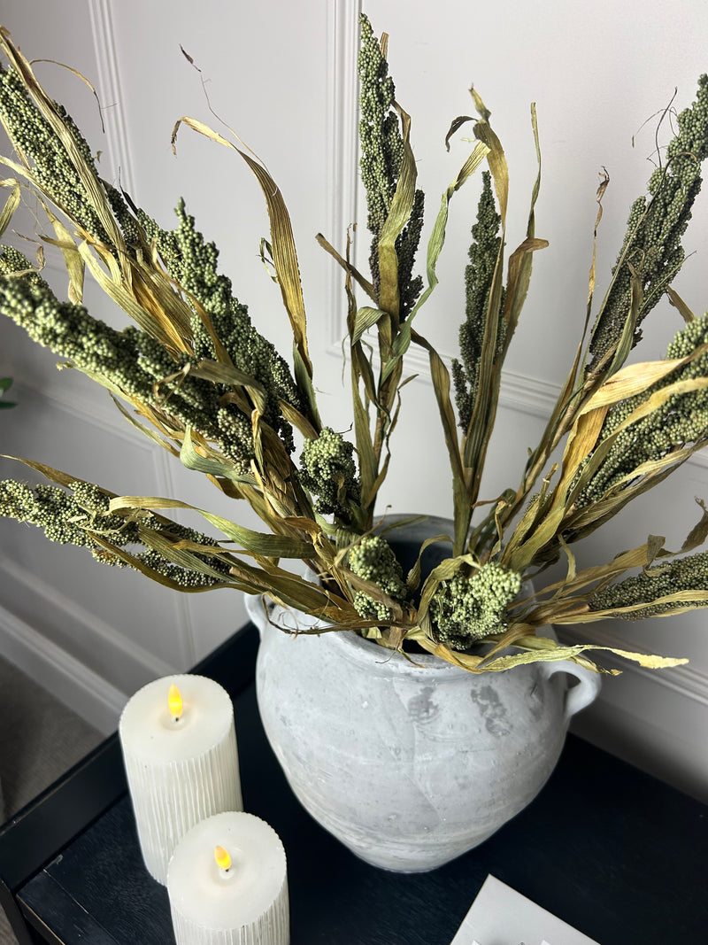 Dried Wheatgrass reed stem bunch green 65cm