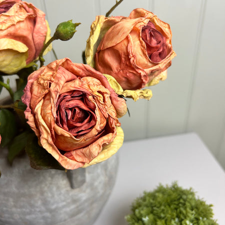 Burnt orange rose stem