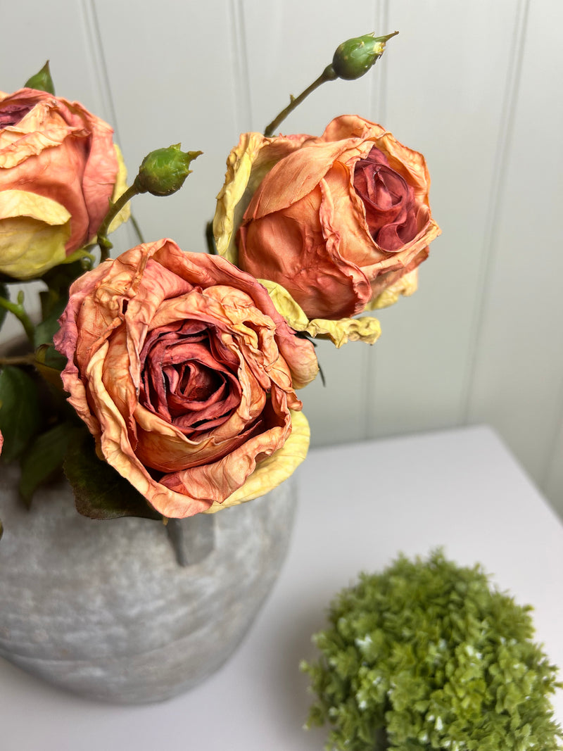 Burnt orange rose stem