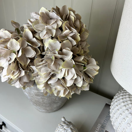Soft pink beige hydrangeas Flower 50cm