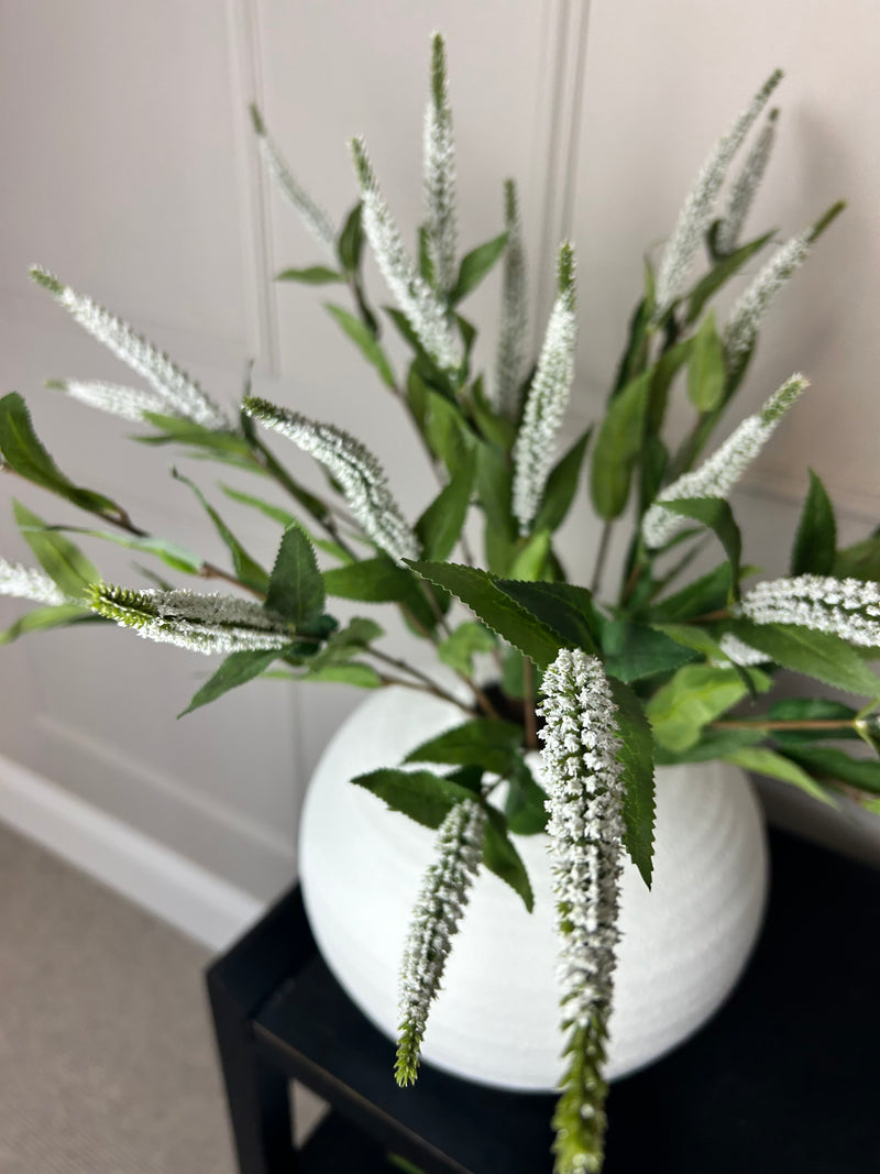 White Veronica multi stem 70cm