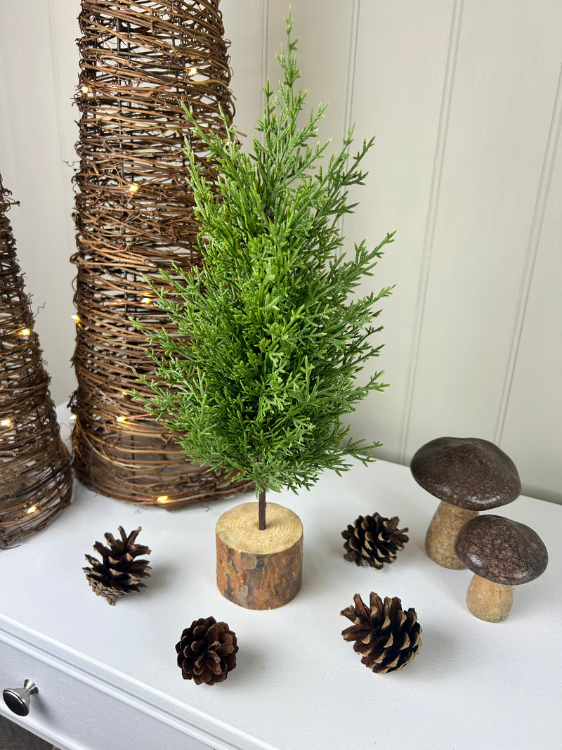 Green Fir Tree on Log Base