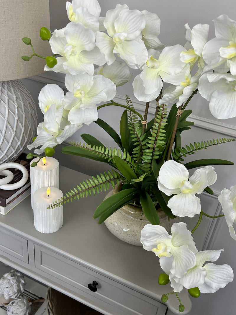 White vanda orchid in ceramic planter pot