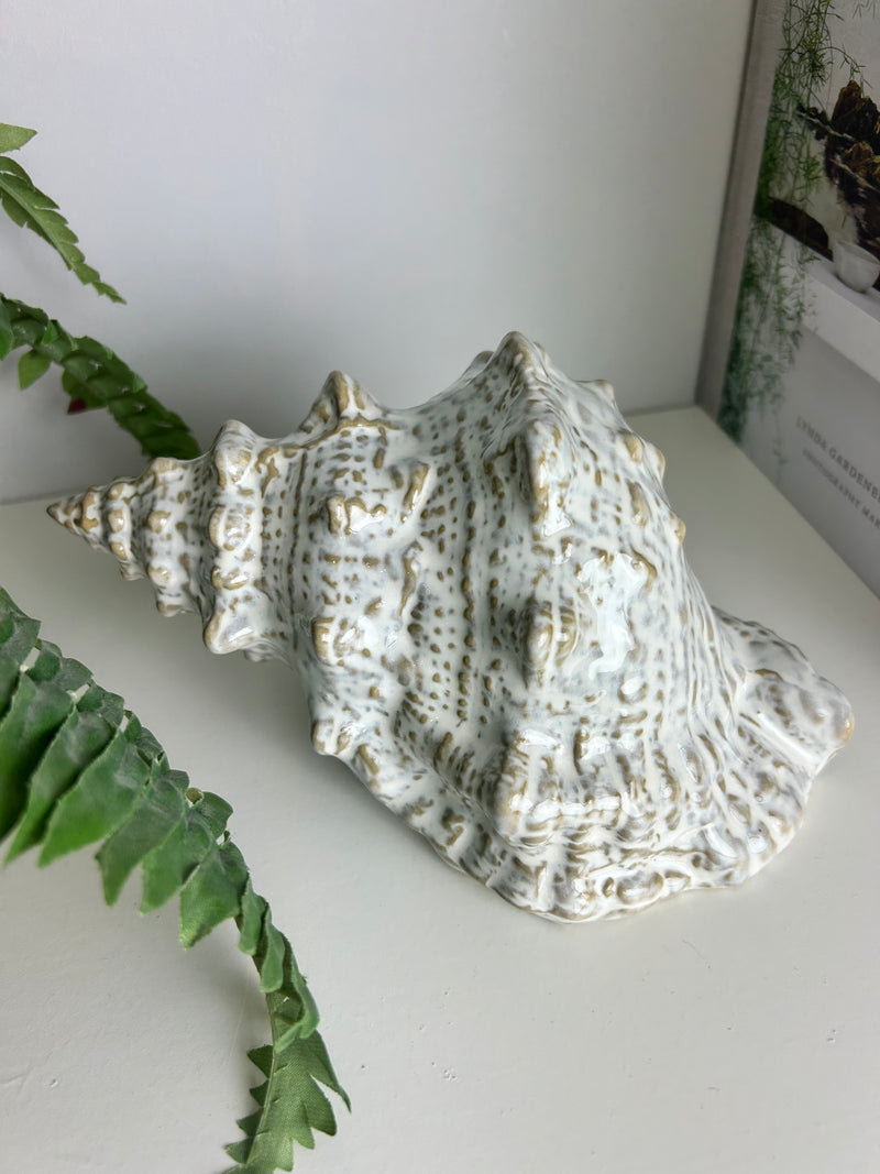 Off White Taupe Two Tone Ceramic Conch Shell
