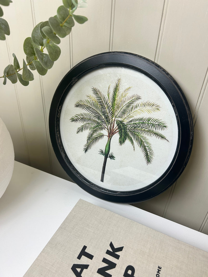Round tree palm tree tropical print 35cm 4 styles