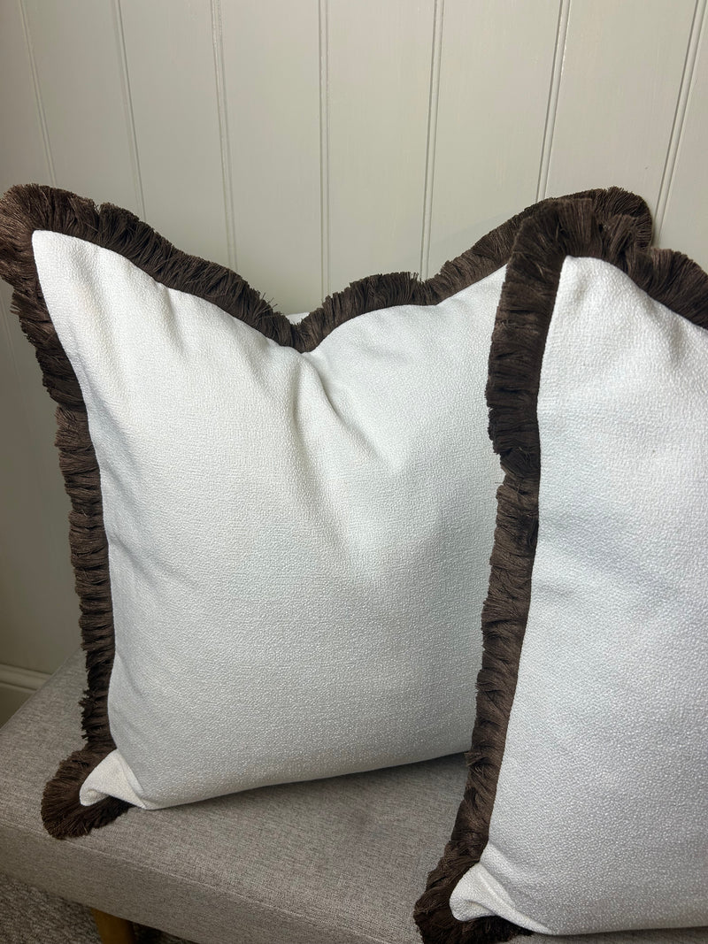 Set of two monochrome print storage books Matisse