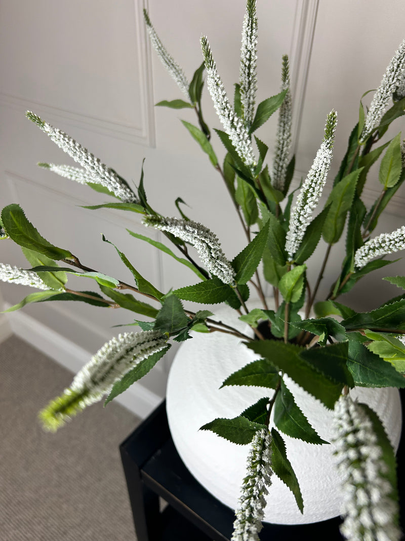 White Veronica multi stem 70cm