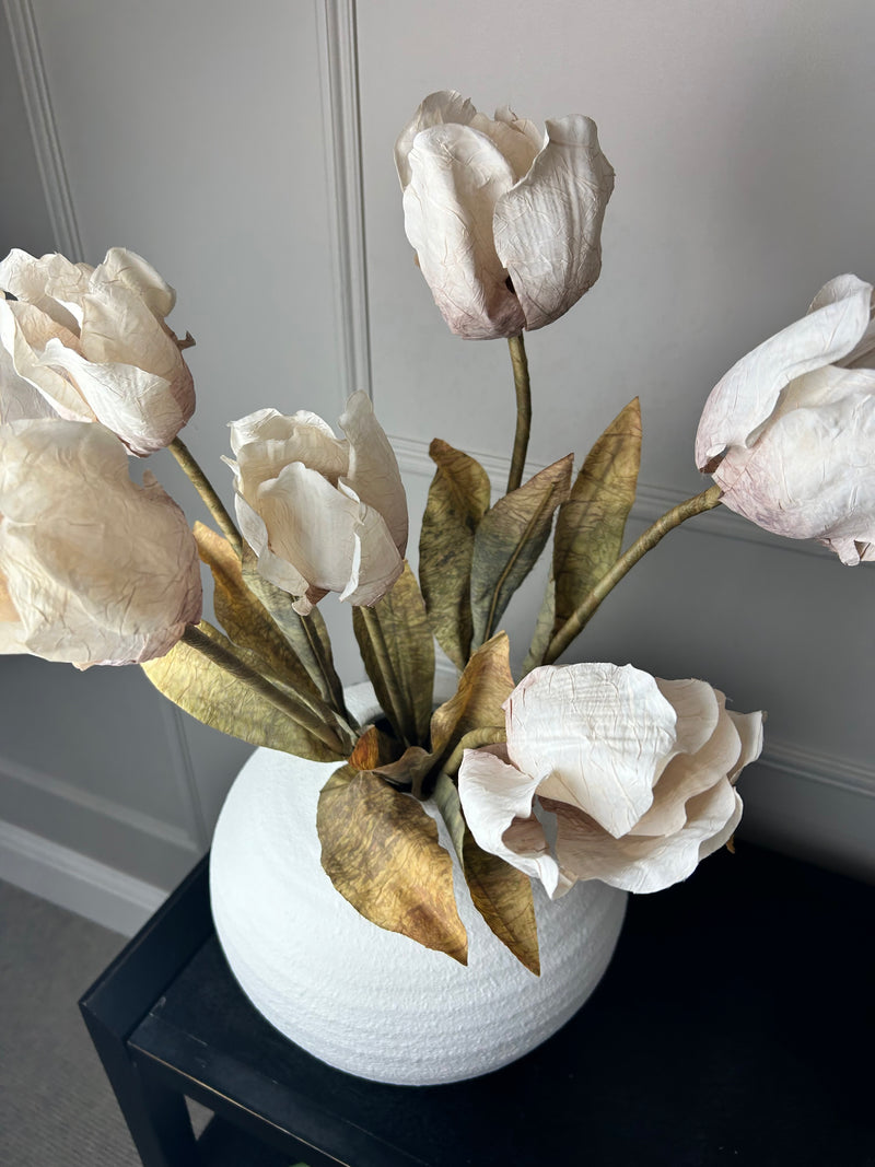 Dried real feel oyster tulip stem 70cm