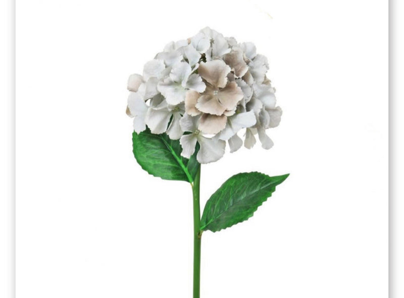 Grey French taupe hydrangeas stem 54cm
