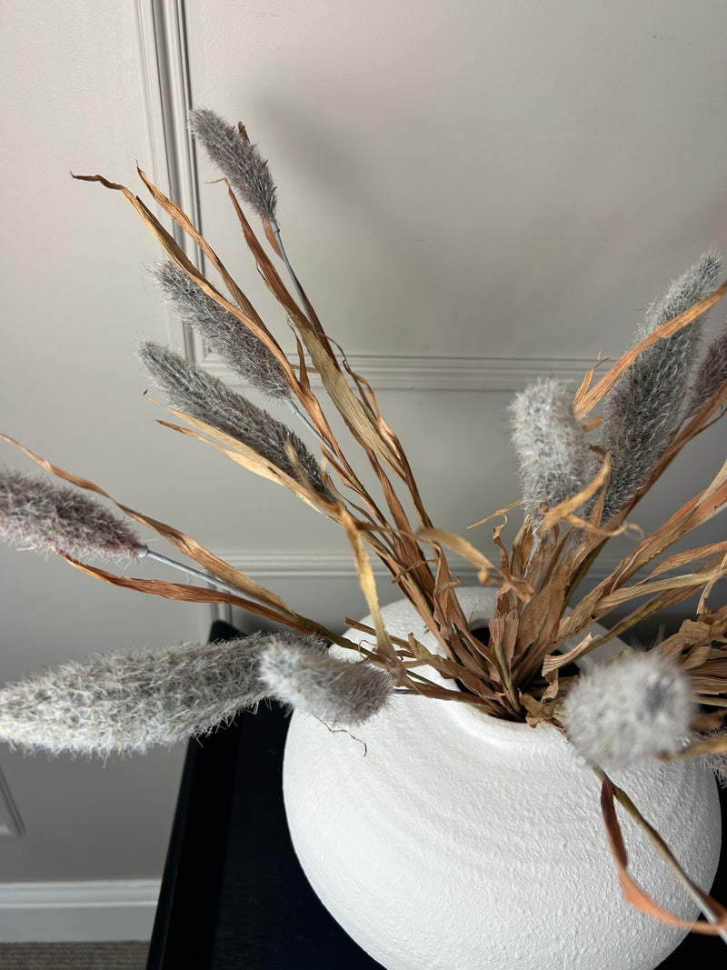 Bunny tail reed spray grey 60cm