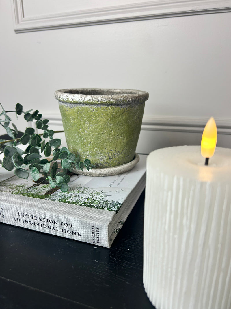 Green rustic plant pot on plate