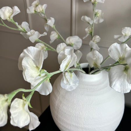 Off White Sweet Pea Tall Stem