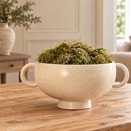 Cream speckled bowl with handles