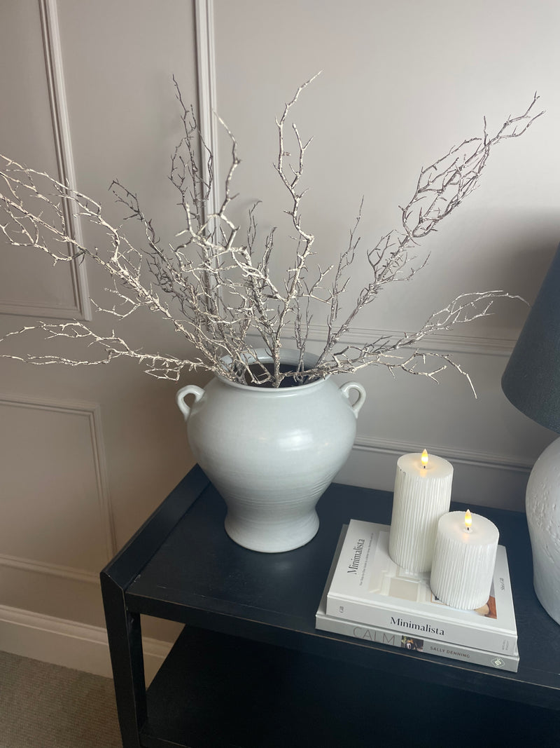 Hawthorn twig Branch