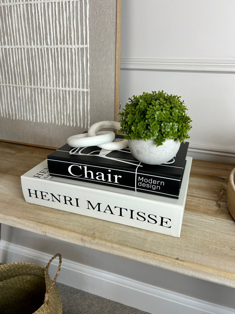 Set of two monochrome print storage books Matisse