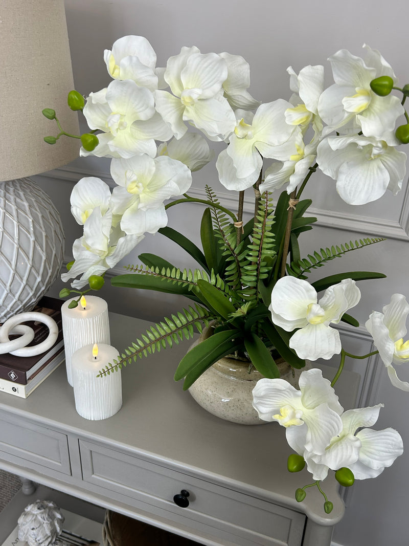 White vanda orchid in ceramic planter pot