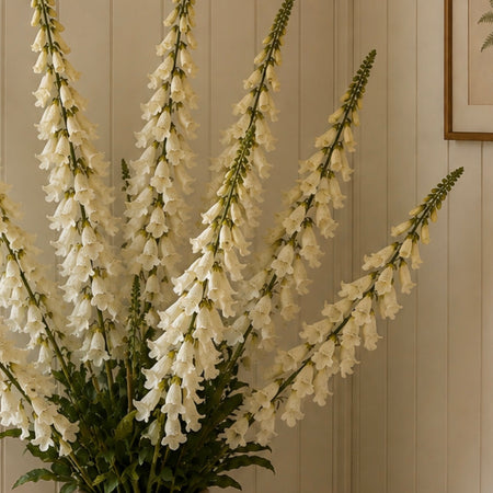 White tall foxglove stem 100cm tall