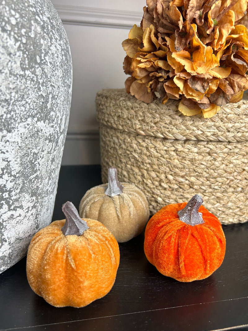 Bag of 6 autumnal pumpkins