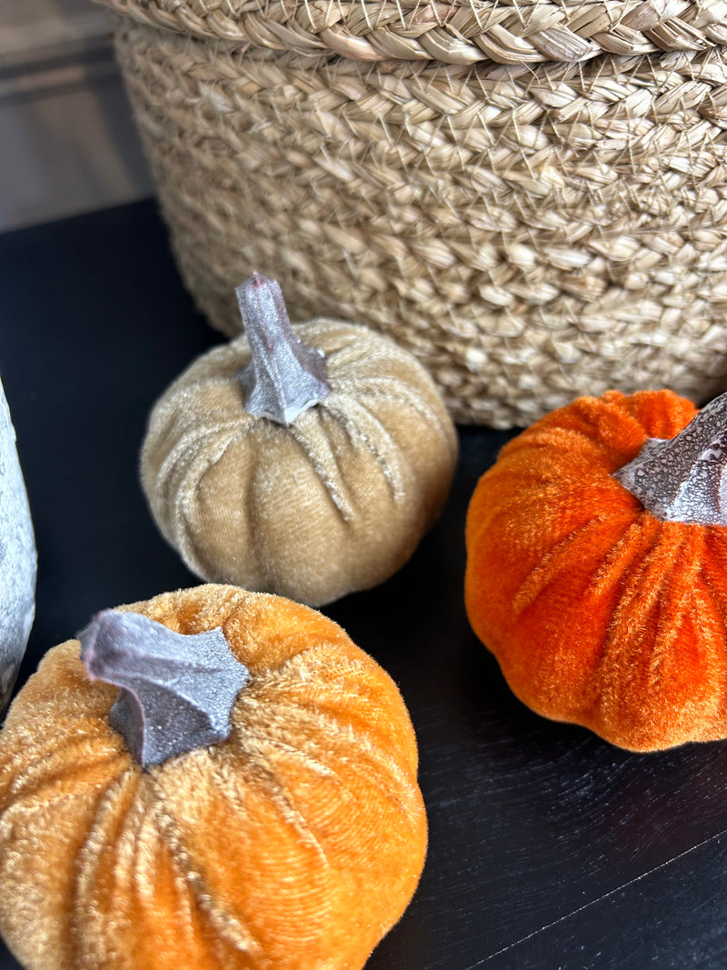 Bag of 6 autumnal pumpkins