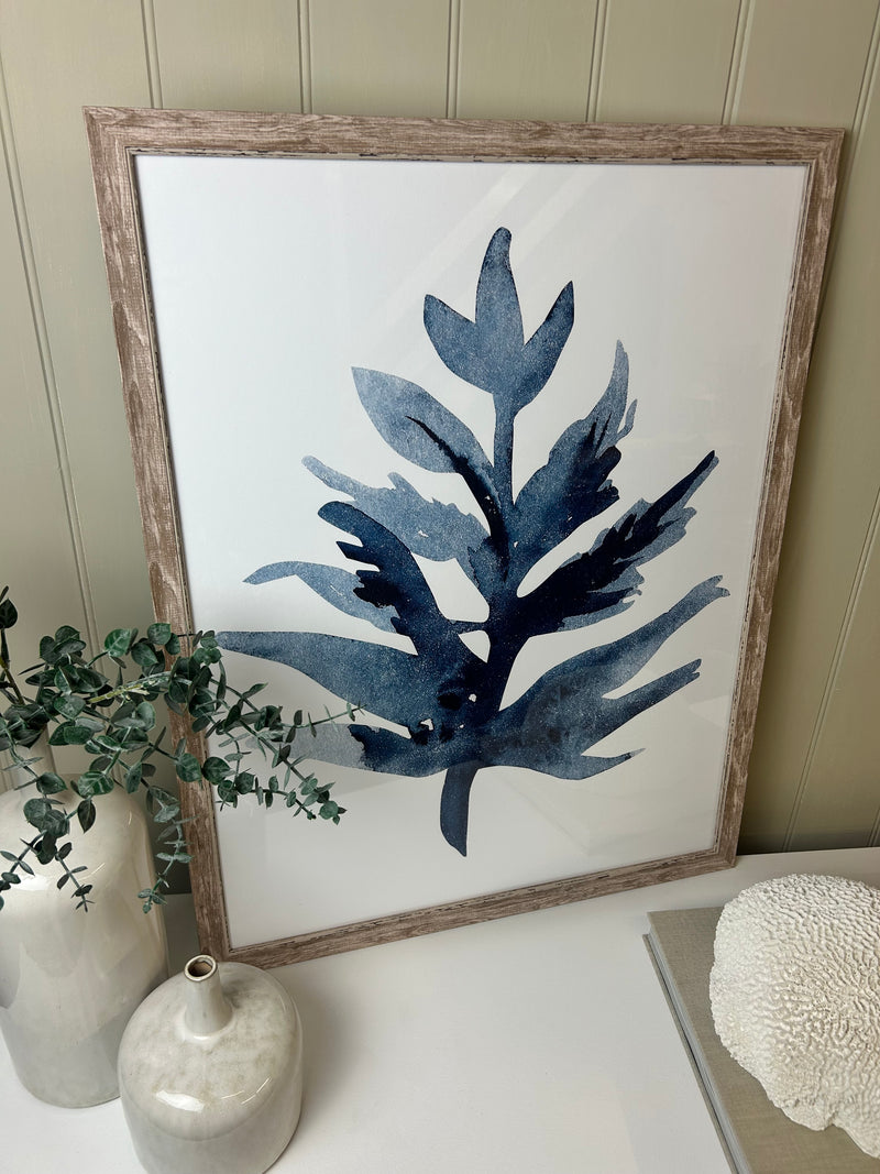 Blue wood framed coral seaweed pictures art 3 styles