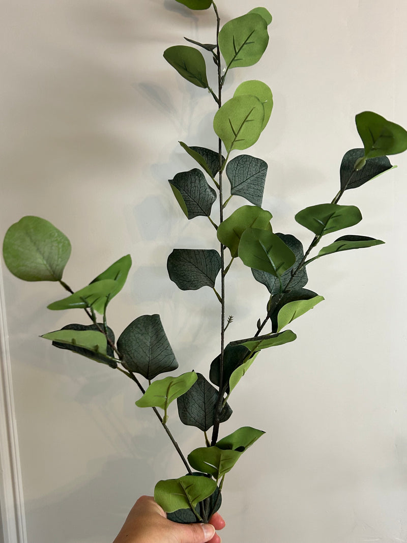 Single stem natural green dollar eucalyptus 72cm