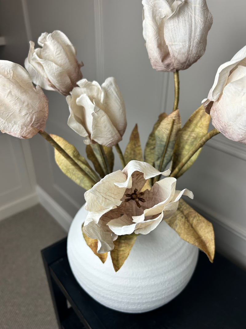 Dried real feel oyster tulip stem 70cm