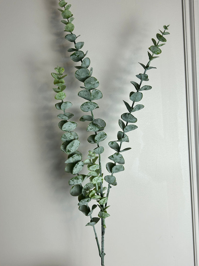 Triple stem dusted eucalyptus 78cm