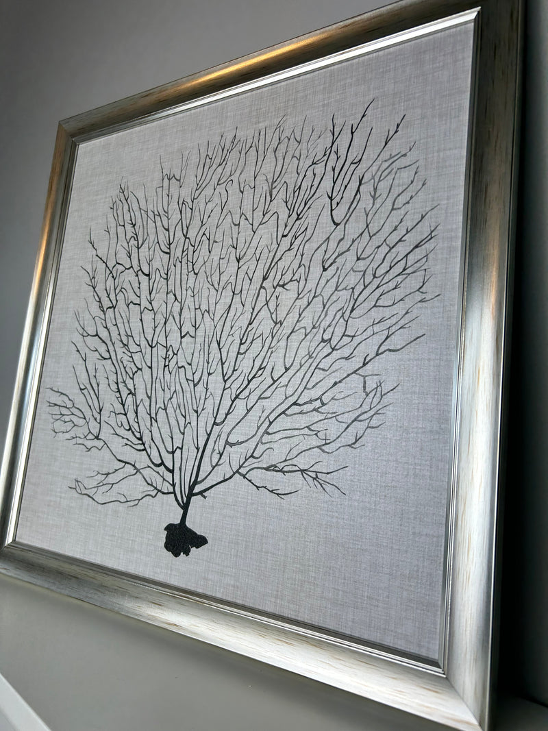 Coral sea fan picture with silver distressed frame by Grace Popp 40x40