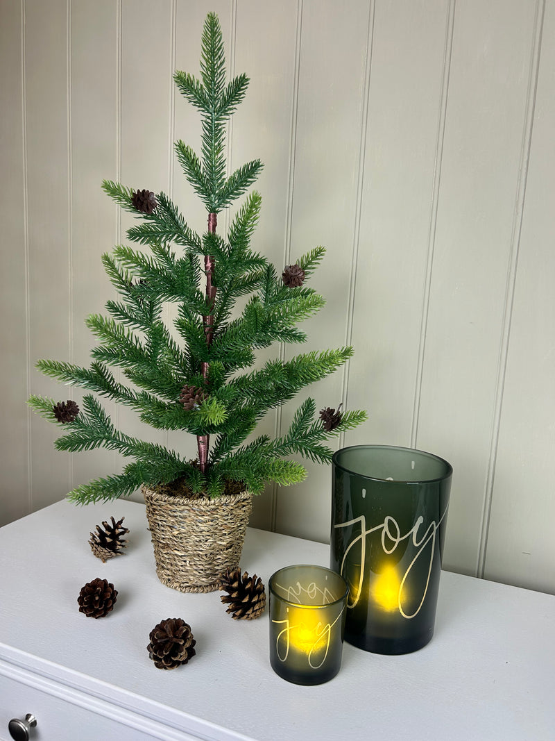 Medium Spruce Christmas Tree in Wicker Basket