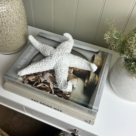 Off White coral Textured Starfish
