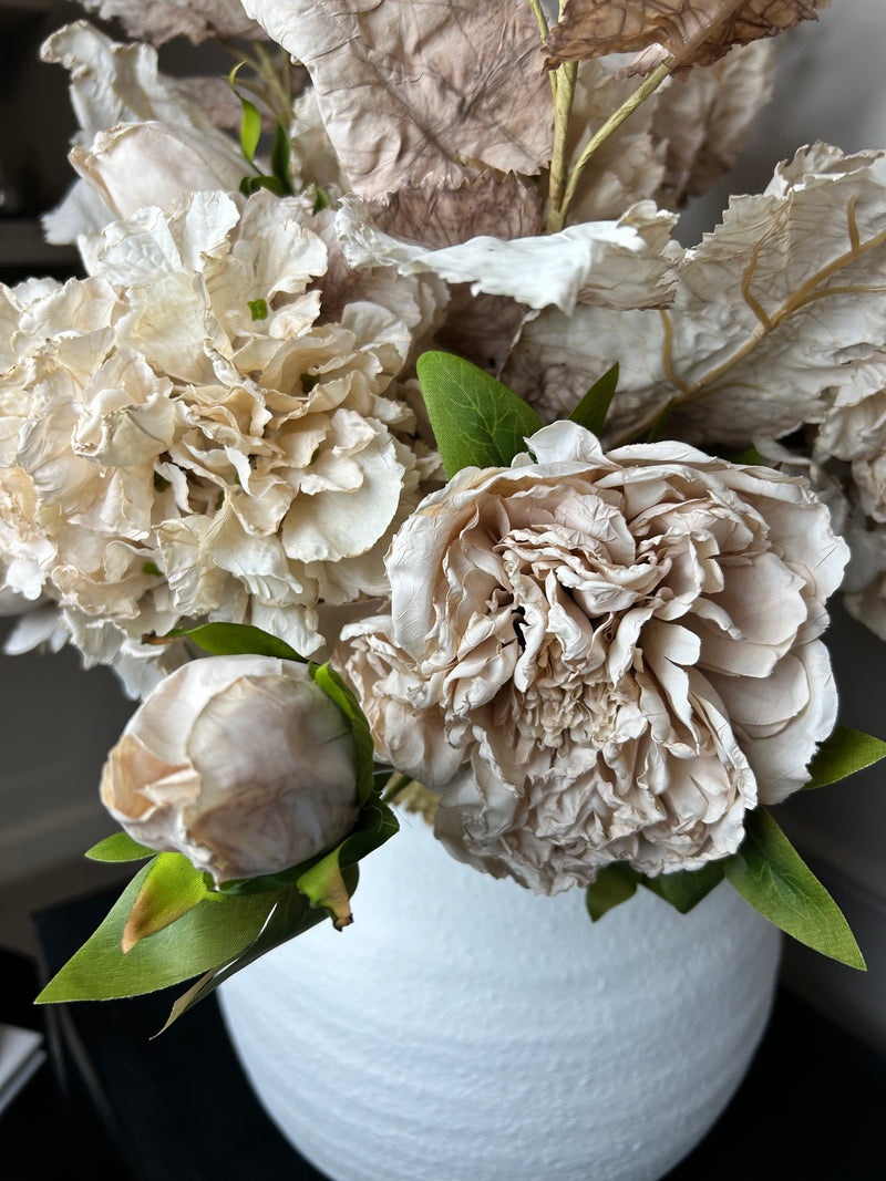 Oyster blush Ruffled Hydrangea Stem